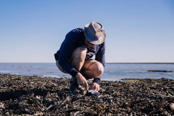 Wandelroutes in Groningen